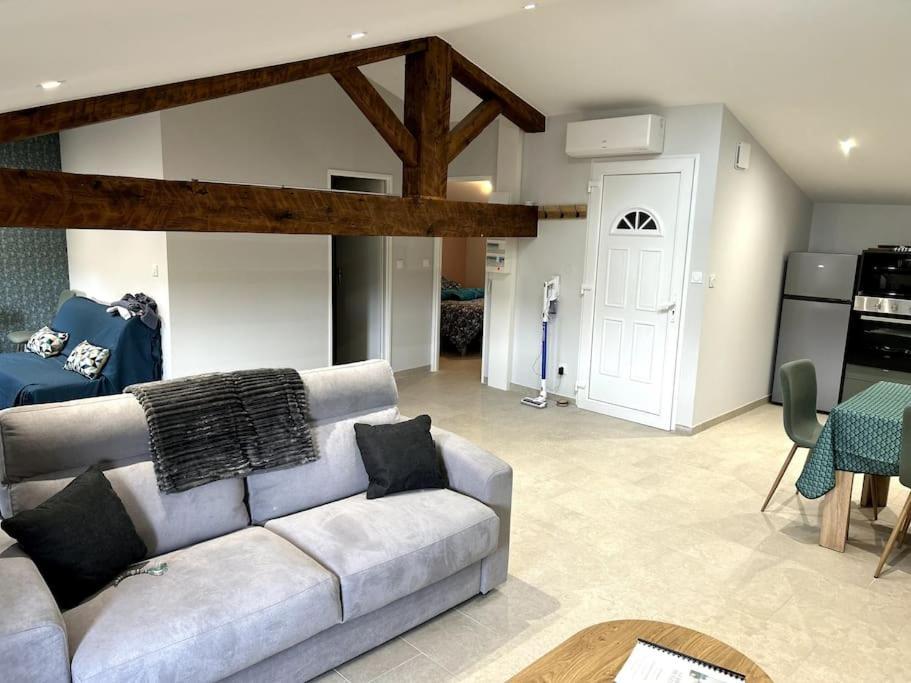 Apartmán Le Cosy Grenier De Pauline Et Flo Cessenon-sur-Orb Exteriér fotografie