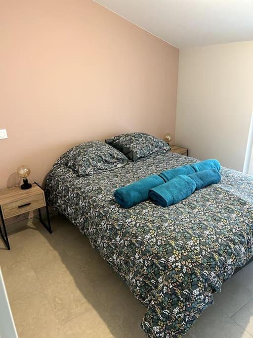 Apartmán Le Cosy Grenier De Pauline Et Flo Cessenon-sur-Orb Exteriér fotografie